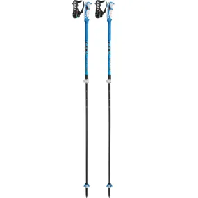 Bâtons de ski Bleu Bird Vario S