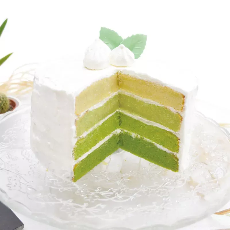 Colorant en poudre vert 5 g ScrapCooking