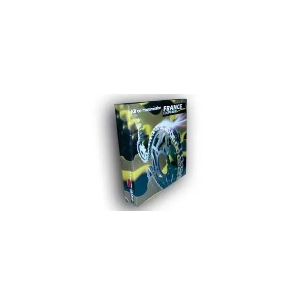 KIT CHAINE FE 125.GS '91/94 13X48 Rµ